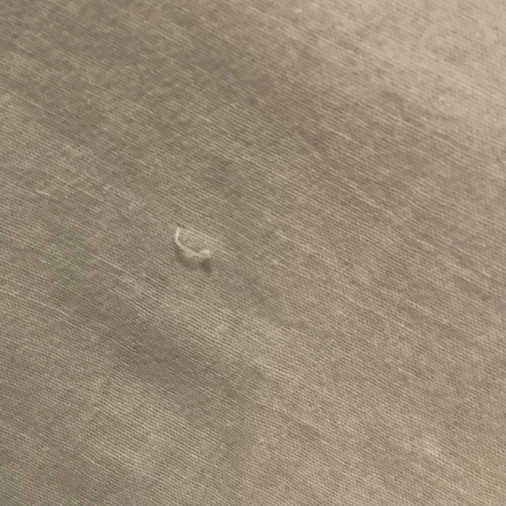 Elegant cream Tunic with long sleeves - Picture 13 of 13